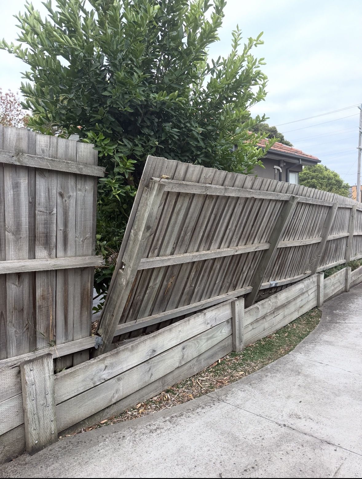 Damaged wooden boundary fence before repair work in Melbourne's north